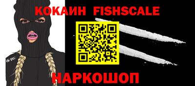 твердый Кингисепп