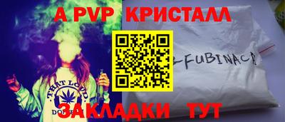 твердый Кингисепп