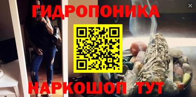 твердый Кингисепп
