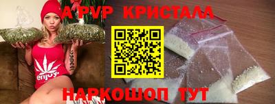 твердый Кингисепп