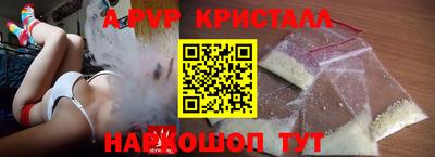твердый Кингисепп
