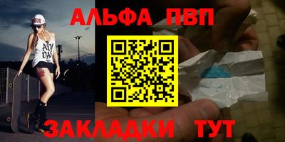 твердый Кингисепп