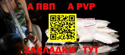 твердый Кингисепп