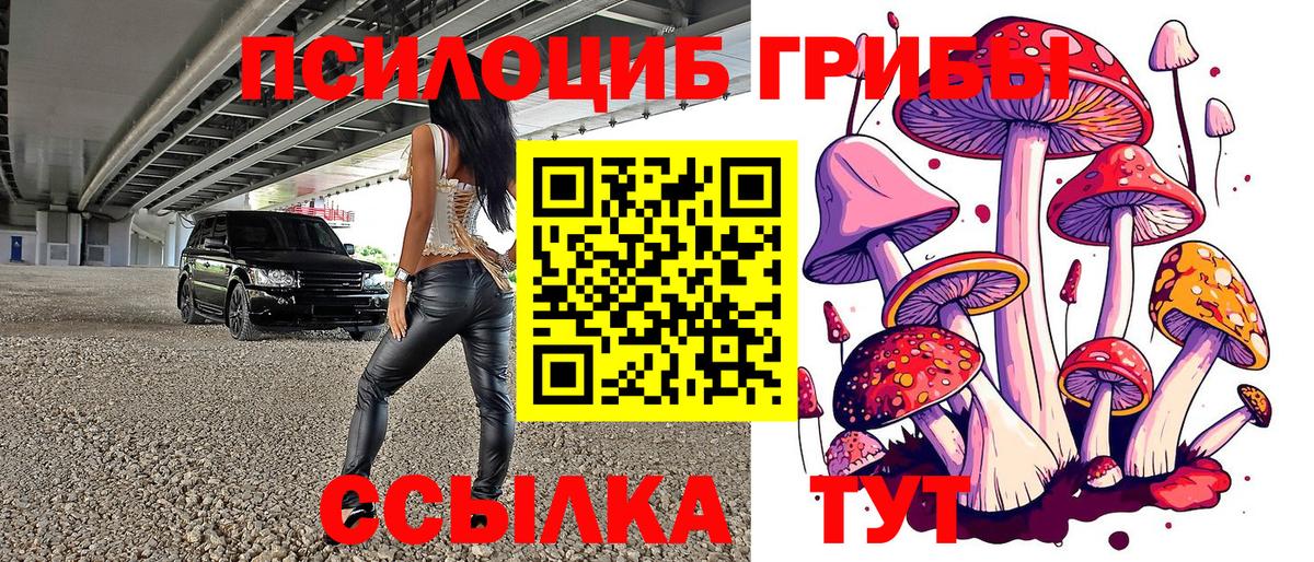 Галлюциногенные грибы GOLDEN TEACHER Краснокаменск